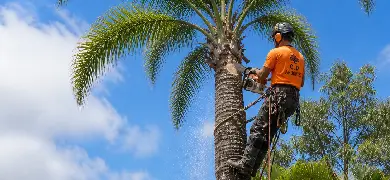websites for tree loppers